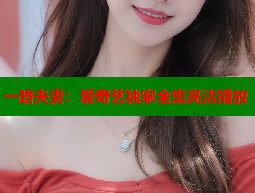 一路夫妻：爱奇艺独家全集高清播放