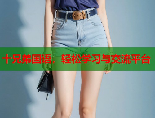十兄弟国语，轻松学习与交流平台