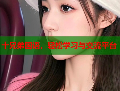 十兄弟国语，轻松学习与交流平台