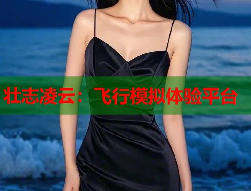 壮志凌云：飞行模拟体验平台