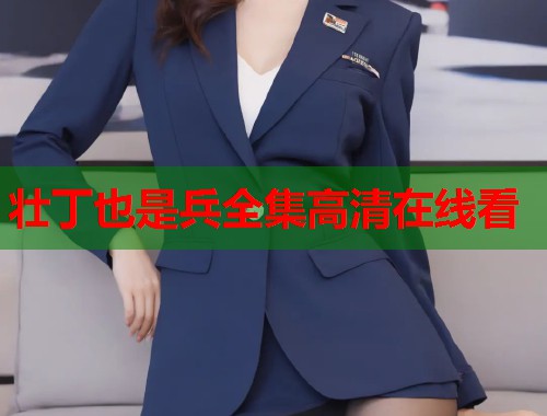 壮丁也是兵全集高清在线看