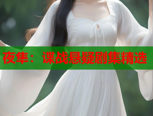 夜隼：谍战悬疑剧集精选