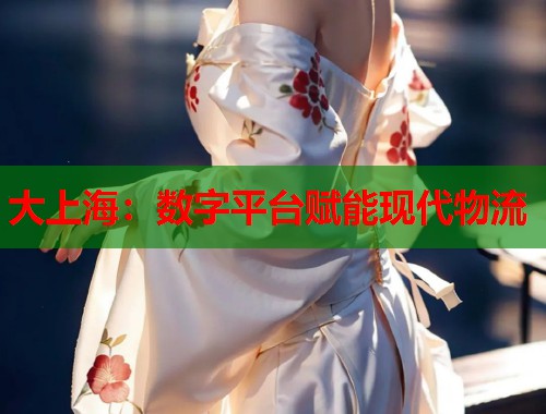 大上海：数字平台赋能现代物流