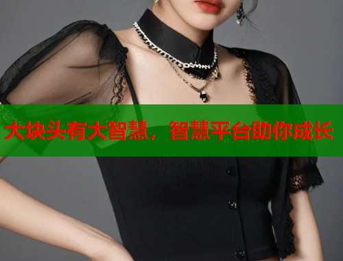 大块头有大智慧，智慧平台助你成长