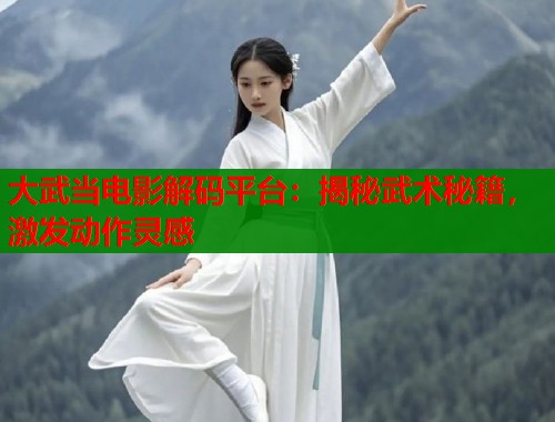 大武当电影解码平台：揭秘武术秘籍，激发动作灵感