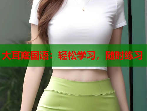 大耳窿国语：轻松学习，随时练习