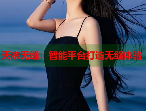 天衣无缝：智能平台打造无缝体验
