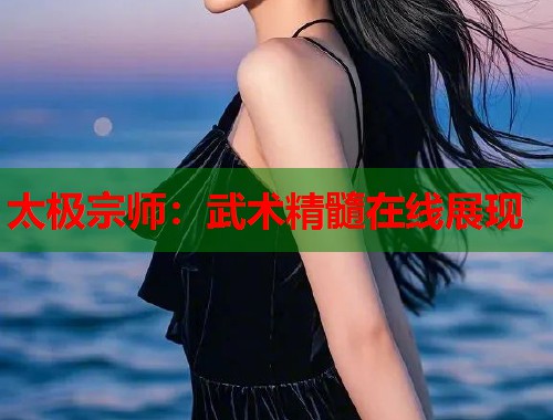 太极宗师：武术精髓在线展现
