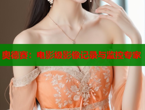 奥德赛：电影级影像记录与监控专家