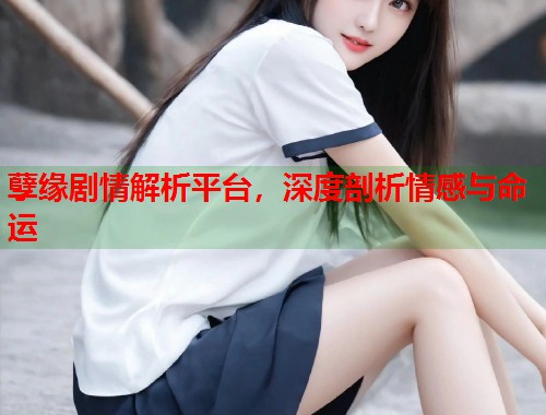 孽缘剧情解析平台，深度剖析情感与命运