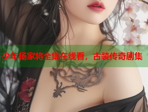 少年杨家将全集在线看，古装传奇剧集
