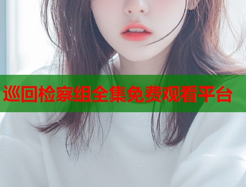 巡回检察组全集免费观看平台