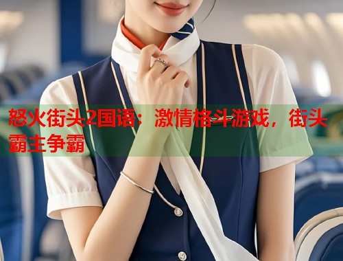 怒火街头2国语：激情格斗游戏，街头霸主争霸