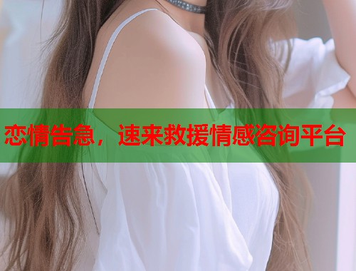 恋情告急，速来救援情感咨询平台