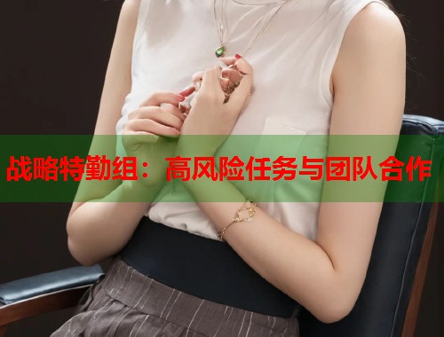 战略特勤组:高风险任务与团队合作 战略特勤组:高风险任务与团队合作