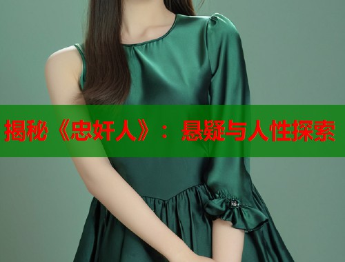 揭秘《忠奸人》：悬疑与人性探索