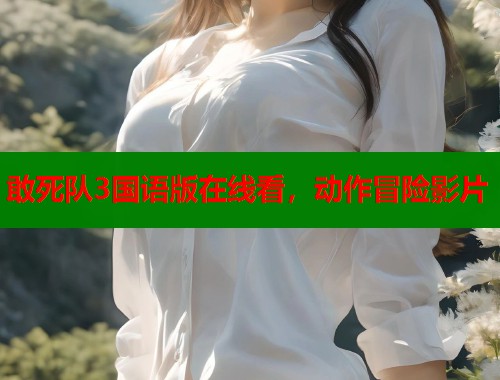 敢死队3国语版在线看，动作冒险影片